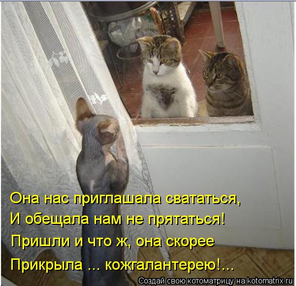 Котоматрица: Она нас приглашала свататься, И обещала нам не прятаться! Пришли и что ж, она скорее Прикрыла ... кожгалантерею!...