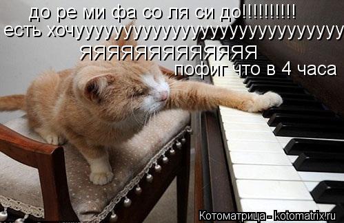 до ре ми фа со ля си до!!!!!!!!!! есть хочуууууууууууууууууууууууууууууууууу ЯЯЯЯЯЯЯЯЯЯЯЯЯ пофиг что ... Котоматрица: до ре ми фа со ля си до!!!!!!!!!! есть хочуууууууууууууууууууууууууууууууууу ЯЯЯЯЯЯЯЯЯЯЯЯЯ пофиг что в 4 часа