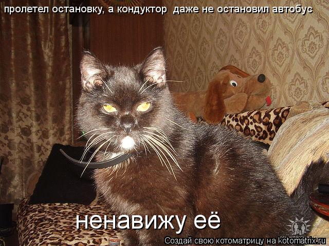 пролетел остановку, а кондуктор даже не остановил автобус ненавижу её... Котоматрица: пролетел остановку, а кондуктор даже не остановил автобус ненавижу её
