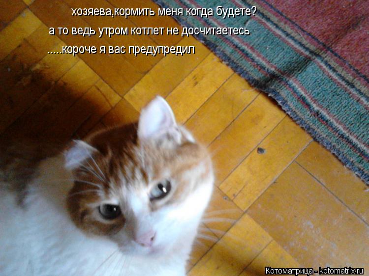 хозяева,кормить меня когда будете? а то ведь утром котлет не досчитаетесь .....короче я вас предупред... Котоматрица: хозяева,кормить меня когда будете? а то ведь утром котлет не досчитаетесь .....короче я вас предупредил