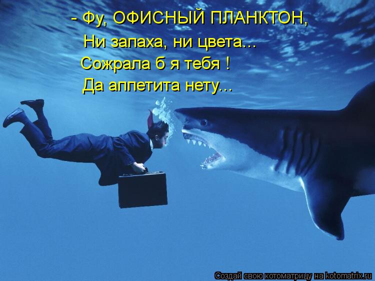 Котоматрица: - Фу, ОФИСНЫЙ ПЛАНКТОН,  Ни запаха, ни цвета... Сожрала б я тебя ! Да аппетита нету...