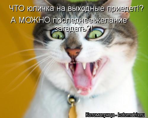 ЧТО юличка на выходные приедет!? А МОЖНО последнее желание загадать?!... Котоматрица: ЧТО юличка на выходные приедет!? А МОЖНО последнее желание загадать?!