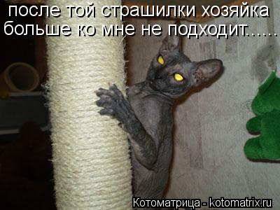 после той страшилки хозяйка больше ко мне не подходит.......... Котоматрица: после той страшилки хозяйка больше ко мне не подходит.......
