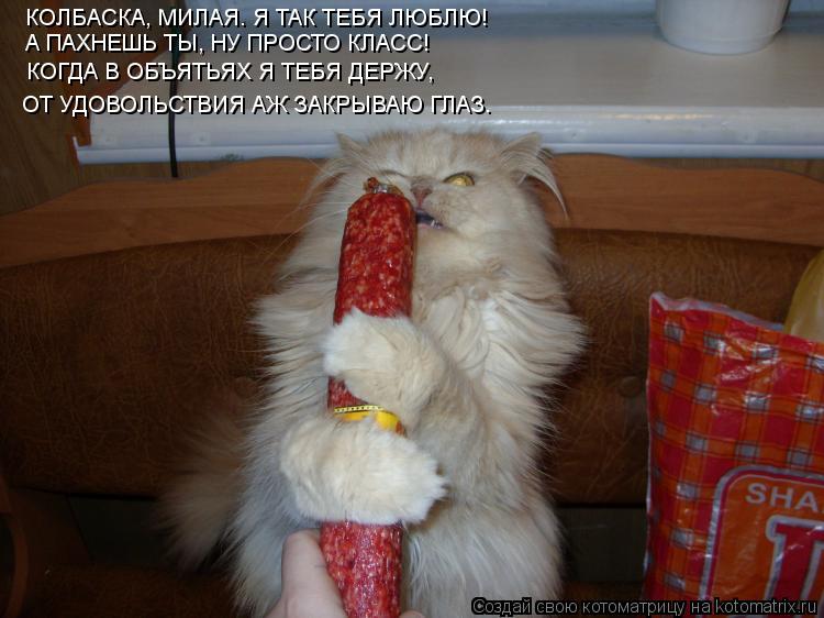 КОЛБАСКА, МИЛАЯ. Я ТАК ТЕБЯ ЛЮБЛЮ! А ПАХНЕШЬ ТЫ, НУ ПРОСТО КЛАСС! КОГДА В ОБЪЯТЬЯХ Я ТЕБЯ ДЕРЖУ, ОТ У... Котоматрица: КОЛБАСКА, МИЛАЯ. Я ТАК ТЕБЯ ЛЮБЛЮ! А ПАХНЕШЬ ТЫ, НУ ПРОСТО КЛАСС! КОГДА В ОБЪЯТЬЯХ Я ТЕБЯ ДЕРЖУ, ОТ УДОВОЛЬСТВИЯ АЖ ЗАКРЫВАЮ ГЛАЗ.