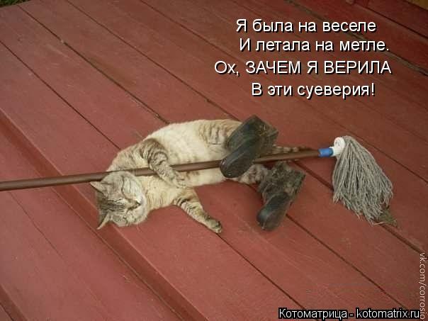 Котоматрица: Я была на веселе И летала на метле. Ох, ЗАЧЕМ Я ВЕРИЛА В эти суеверия!