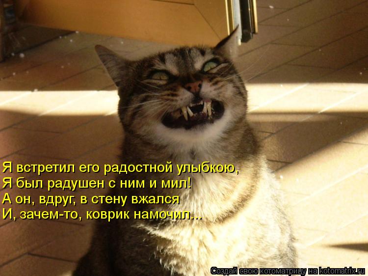 Я встретил его радостной улыбкою, А он, вдруг, в стену вжался Я был радушен с ним и мил! И, зачем-то,... Котоматрица: Я встретил его радостной улыбкою, А он, вдруг, в стену вжался Я был радушен с ним и мил! И, зачем-то, коврик намочил...
