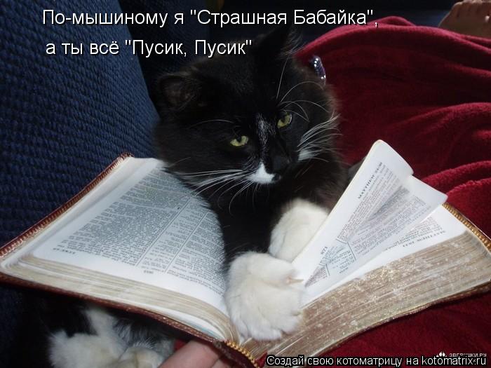 По-мышиному я "Страшная Бабайка", а ты всё "Пусик, Пусик"... Котоматрица: По-мышиному я "Страшная Бабайка", а ты всё "Пусик, Пусик"