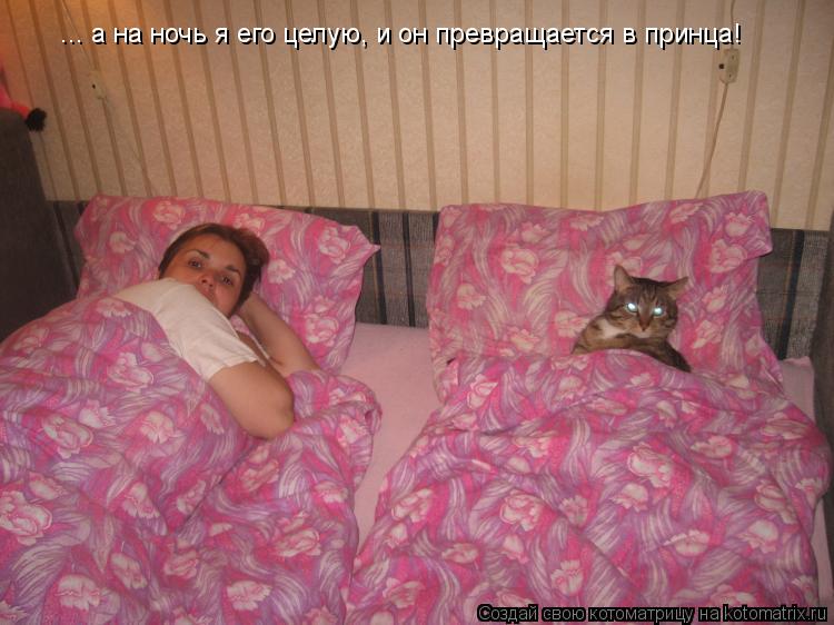 ... а на ночь я его целую, и он превращается в принца!... Котоматрица: ... а на ночь я его целую, и он превращается в принца!