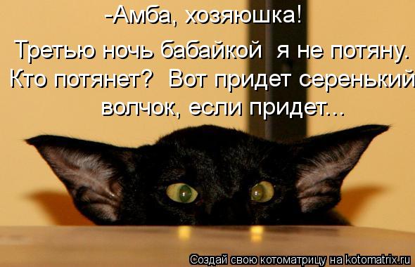 Третью ночь бабайкой я не потяну. -Амба, хозяюшка! Кто потянет? Вот придет серенький волчок, если п... Котоматрица: Третью ночь бабайкой я не потяну. -Амба, хозяюшка! Кто потянет? Вот придет серенький волчок, если придет...
