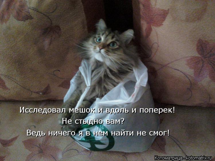 Ведь ничего я в нем найти не смог! Не стыдно вам? Исследовал мешок и вдоль и поперек!... Котоматрица: Ведь ничего я в нем найти не смог! Не стыдно вам? Исследовал мешок и вдоль и поперек!