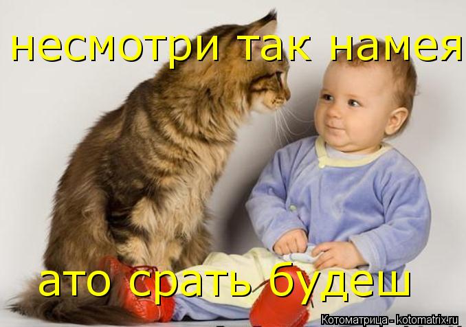 несмотри так намея ато срать будеш... Котоматрица: несмотри так намея ато срать будеш