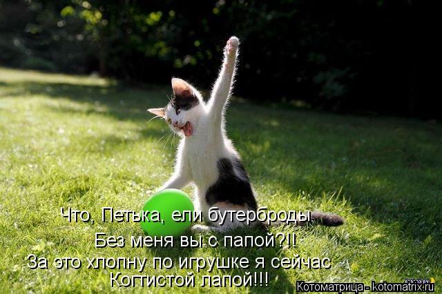 За это хлопну по игрушке я сейчас Когтистой лапой!!! Что, Петька, ели бутерброды Без меня вы с папо... Котоматрица: За это хлопну по игрушке я сейчас Когтистой лапой!!! Что, Петька, ели бутерброды Без меня вы с папой?!!