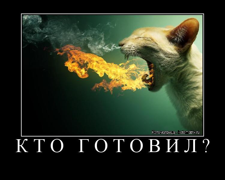 КТО ГОТОВИЛ? ... Котоматрица: КТО ГОТОВИЛ?