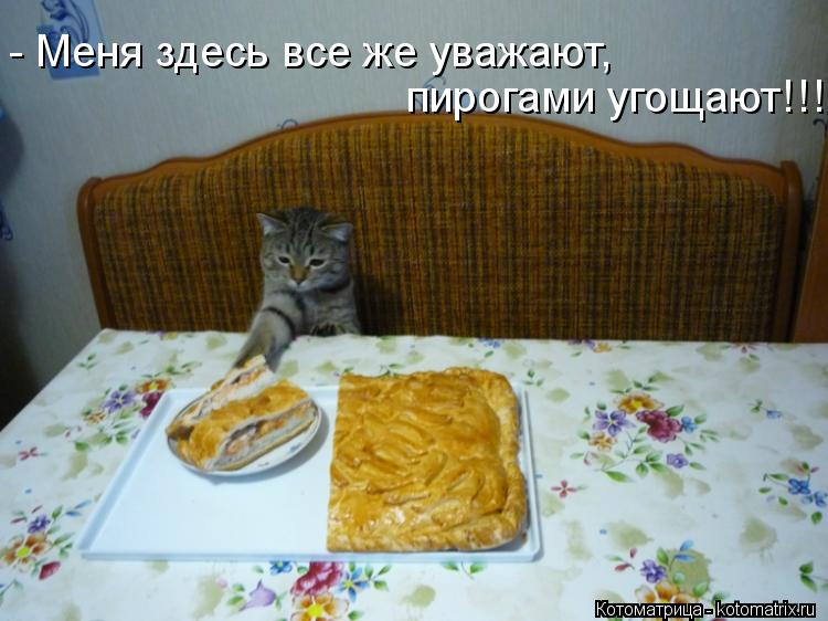 - Меня здесь все же уважают, пирогами угощают!!!... Котоматрица: - Меня здесь все же уважают, пирогами угощают!!!