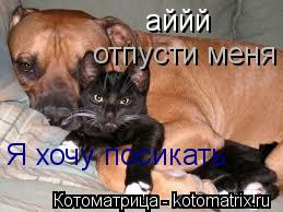 аййй отпусти меня Я хочу посикать... Котоматрица: аййй отпусти меня Я хочу посикать