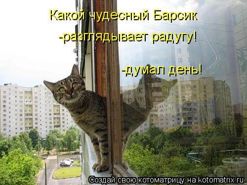 Какой чудесный Барсик -разглядывает радугу! -думал день!... Котоматрица: Какой чудесный Барсик -разглядывает радугу! -думал день!