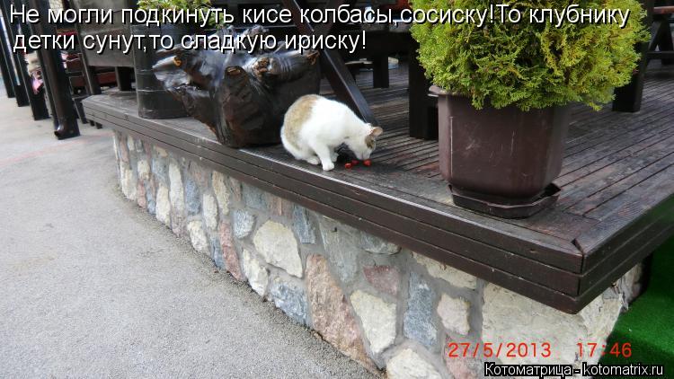 Не могли подкинуть кисе колбасы,сосиску!То клубнику детки сунут,то сладкую ириску!... Котоматрица: Не могли подкинуть кисе колбасы,сосиску!То клубнику детки сунут,то сладкую ириску!