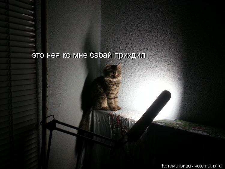 это нея ко мне бабай прихдил... Котоматрица: это нея ко мне бабай прихдил