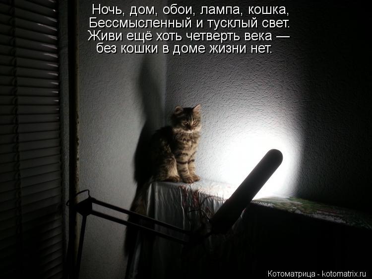 Ночь, дом, обои, лампа, кошка, Бессмысленный и тусклый свет. Живи ещё хоть четверть века — без кошки ... Котоматрица: Ночь, дом, обои, лампа, кошка, Бессмысленный и тусклый свет. Живи ещё хоть четверть века — без кошки в доме жизни нет.