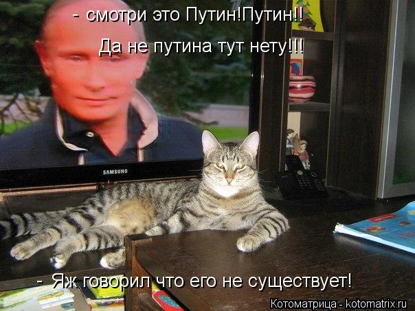 смотри это Путин!Путин!! Да не путина тут нету!!! Яж говорил что его не существует! - -... Котоматрица: смотри это Путин!Путин!! Да не путина тут нету!!! Яж говорил что его не существует! - -