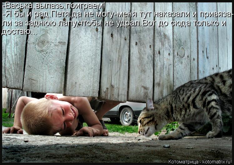 -Васька,вылазь,поиграем! -Я бы и рад,Петя,да не могу-меня тут наказали и привяза- ли за заднюю лапу,ч... Котоматрица: -Васька,вылазь,поиграем! -Я бы и рад,Петя,да не могу-меня тут наказали и привяза- ли за заднюю лапу,чтобы не удрал.Вот до сюда только и достаю...