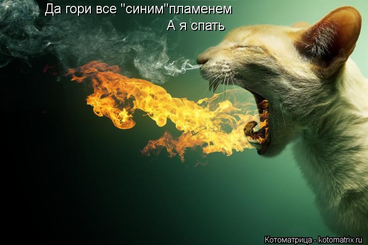 Да гори все "синим"пламенем А я спать... Котоматрица: Да гори все "синим"пламенем А я спать