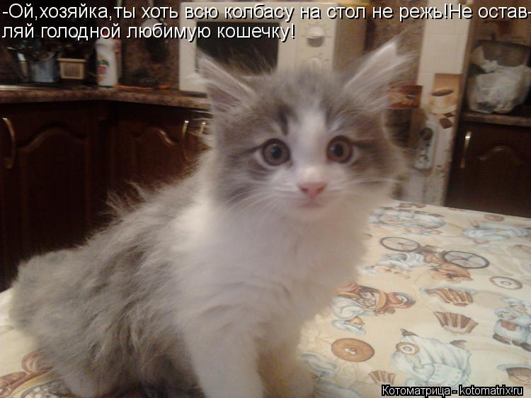 -Ой,хозяйка,ты хоть всю колбасу на стол не режь!Не остав- ляй голодной любимую кошечку!... Котоматрица: -Ой,хозяйка,ты хоть всю колбасу на стол не режь!Не остав- ляй голодной любимую кошечку!