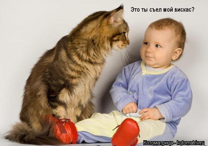 Это ты съел мой вискас?... Котоматрица: Это ты съел мой вискас?