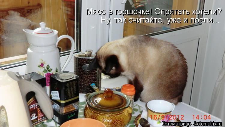 Мясо в горшочке! Спрятать хотели? Ну, так считайте, уже и поели...... Котоматрица: Мясо в горшочке! Спрятать хотели? Ну, так считайте, уже и поели...
