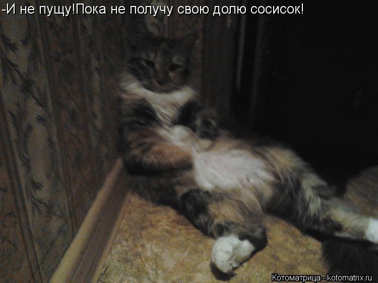 -И не пущу!Пока не получу свою долю сосисок!... Котоматрица: -И не пущу!Пока не получу свою долю сосисок!