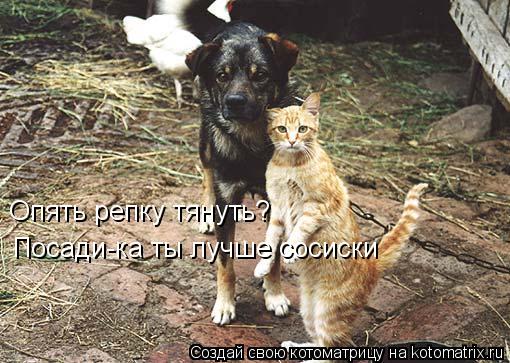 Опять репку тянуть? Посади-ка ты лучше сосиски... Котоматрица: Опять репку тянуть? Посади-ка ты лучше сосиски