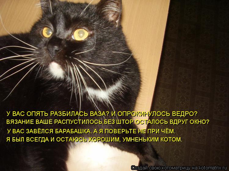 Котоматрица: У ВАС ОПЯТЬ РАЗБИЛАСЬ ВАЗА? И ОПРОКИНУЛОСЬ ВЕДРО? ВЯЗАНИЕ ВАШЕ РАСПУСТИЛОСЬ,БЕЗ ШТОР ОСТАЛОСЬ ВДРУГ ОКНО? У ВАС ЗАВЁЛСЯ БАРАБАШКА. А Я ПОВЕР