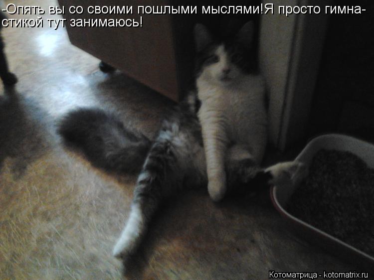 -Опять вы со своими пошлыми мыслями!Я просто гимна- стикой тут занимаюсь!... Котоматрица: -Опять вы со своими пошлыми мыслями!Я просто гимна- стикой тут занимаюсь!