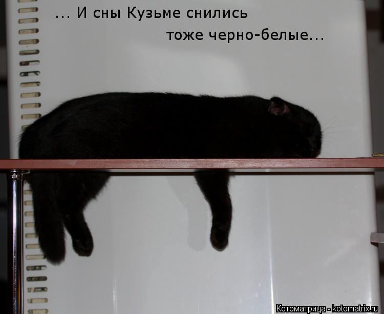 ... И сны Кузьме снились тоже черно-белые...... Котоматрица: ... И сны Кузьме снились тоже черно-белые...