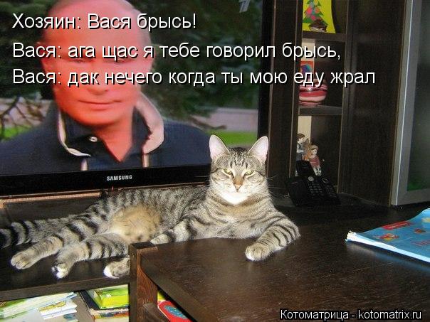 Хозяин: Вася брысь! Вася: ага щас я тебе говорил брысь, Вася: дак нечего когда ты мою еду жрал... Котоматрица: Хозяин: Вася брысь! Вася: ага щас я тебе говорил брысь, Вася: дак нечего когда ты мою еду жрал