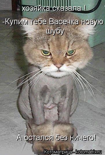 хозяйка сказала ! -Купим тебе Васечка новую шубу шубу А остался без ничего!... Котоматрица: хозяйка сказала ! -Купим тебе Васечка новую шубу шубу А остался без ничего!