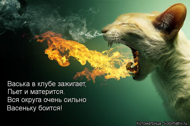 Васька в клубе зажигает, Пьет и матерится. Вся округа очень сильно Васеньку боится!... Котоматрица: Васька в клубе зажигает, Пьет и матерится. Вся округа очень сильно Васеньку боится!