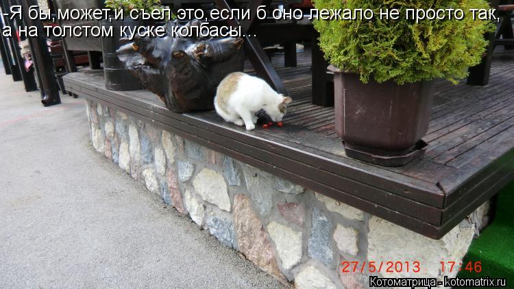 -Я бы,может,и съел это,если б оно лежало не просто так, а на толстом куске колбасы...... Котоматрица: -Я бы,может,и съел это,если б оно лежало не просто так, а на толстом куске колбасы...