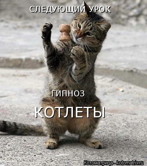СЛЕДУЮЩИЙ УРОК ГИПНОЗ КОТЛЕТЫ... Котоматрица: СЛЕДУЮЩИЙ УРОК ГИПНОЗ КОТЛЕТЫ