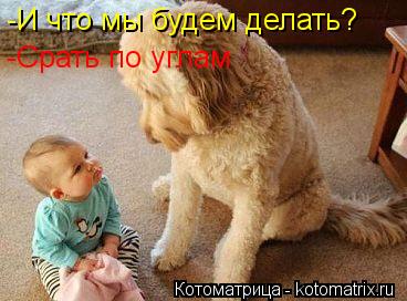 -И что мы будем делать? -Срать по углам... Котоматрица: -И что мы будем делать? -Срать по углам