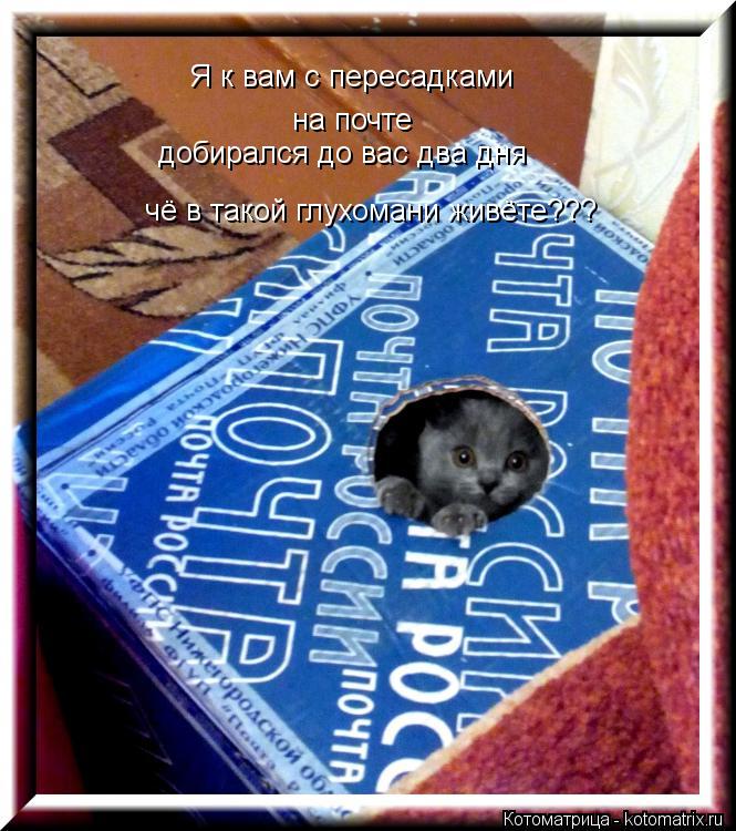 Я к вам с пересадками на почте добирался до вас два дня чё в такой глухомани живёте???... Котоматрица: Я к вам с пересадками на почте добирался до вас два дня чё в такой глухомани живёте???