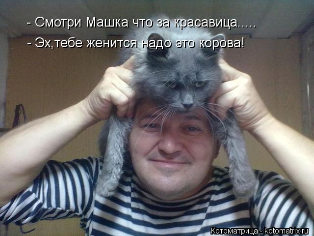 - Смотри Машка что за красавица..... - Эх,тебе женится надо это корова!... Котоматрица: - Смотри Машка что за красавица..... - Эх,тебе женится надо это корова!