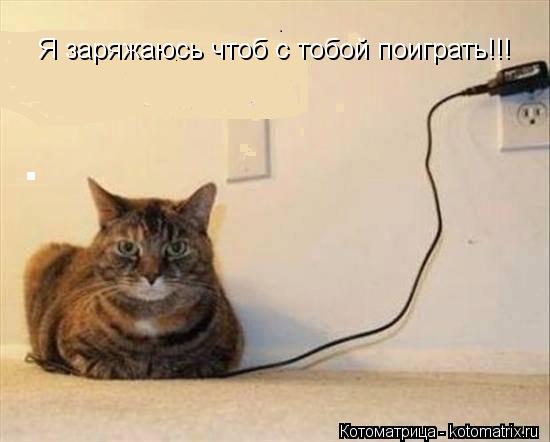 Я заряжаюсь чтоб с тобой поиграть!!!... Котоматрица: Я заряжаюсь чтоб с тобой поиграть!!!