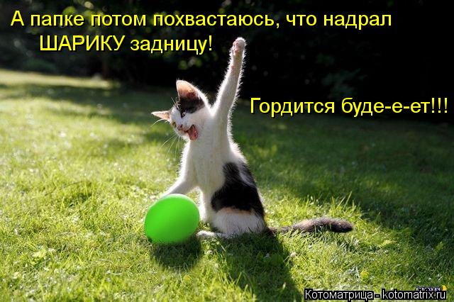 А папке потом похвастаюсь, что надрал ШАРИКУ задницу! Гордится буде-е-ет!!!... Котоматрица: А папке потом похвастаюсь, что надрал ШАРИКУ задницу! Гордится буде-е-ет!!!