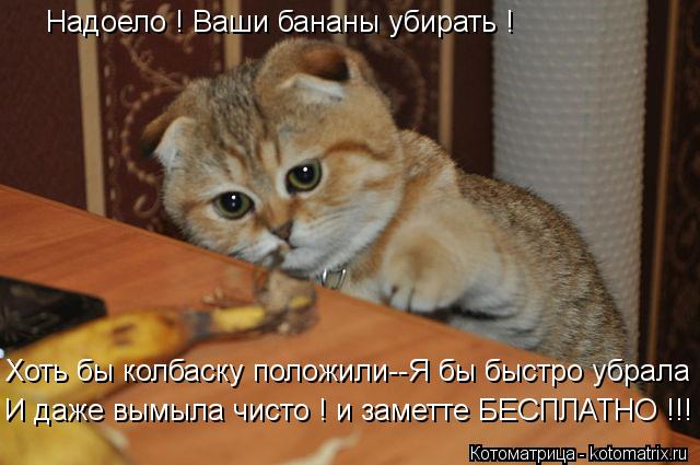Надоело ! Ваши бананы убирать ! Хоть бы колбаску положили--Я бы быстро убрала и вымыла И даже вымыла... Котоматрица: Надоело ! Ваши бананы убирать ! Хоть бы колбаску положили--Я бы быстро убрала и вымыла И даже вымыла чисто ! и заметте БЕСПЛАТНО !!!