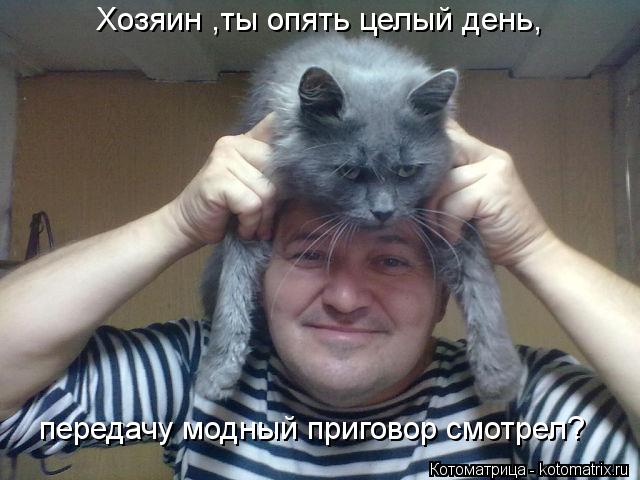 Хозяин ,ты опять целый день, передачу модный приговор смотрел?... Котоматрица: Хозяин ,ты опять целый день, передачу модный приговор смотрел?