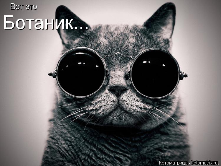 Вот это Ботаник...... Котоматрица: Вот это Ботаник...