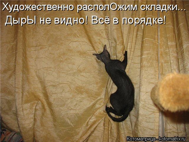 Котоматрица: Художественно располОжим складки...  ДырЫ не видно! Всё в порядке!