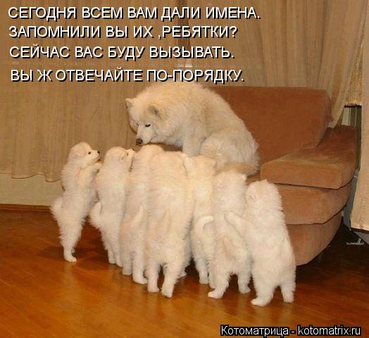 СЕГОДНЯ ВСЕМ ВАМ ДАЛИ ИМЕНА. ЗАПОМНИЛИ ВЫ ИХ ,РЕБЯТКИ? СЕЙЧАС ВАС БУДУ ВЫЗЫВАТЬ. ВЫ Ж ОТВЕЧАЙТЕ ПО-ПО... Котоматрица: СЕГОДНЯ ВСЕМ ВАМ ДАЛИ ИМЕНА. ЗАПОМНИЛИ ВЫ ИХ ,РЕБЯТКИ? СЕЙЧАС ВАС БУДУ ВЫЗЫВАТЬ. ВЫ Ж ОТВЕЧАЙТЕ ПО-ПОРЯДКУ.