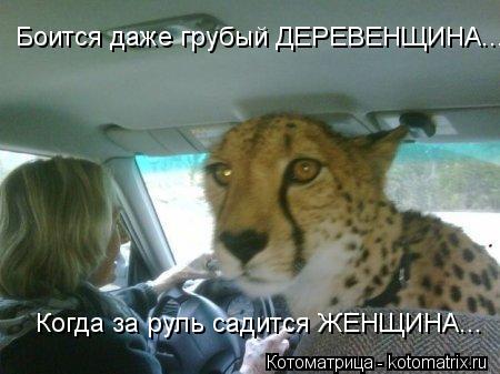 Боится даже грубый ДЕРЕВЕНЩИНА... Когда за руль садится ЖЕНЩИНА...... Котоматрица: Боится даже грубый ДЕРЕВЕНЩИНА... Когда за руль садится ЖЕНЩИНА...